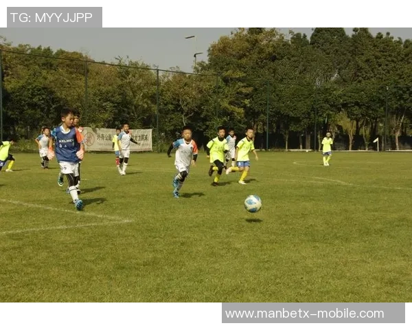 激情四溢的wedo足球赛点燃青春梦想展现团队精神与竞技魅力