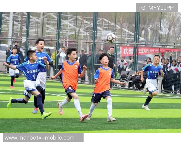 足球小子逆袭之路从校园到职业联赛的成长传奇