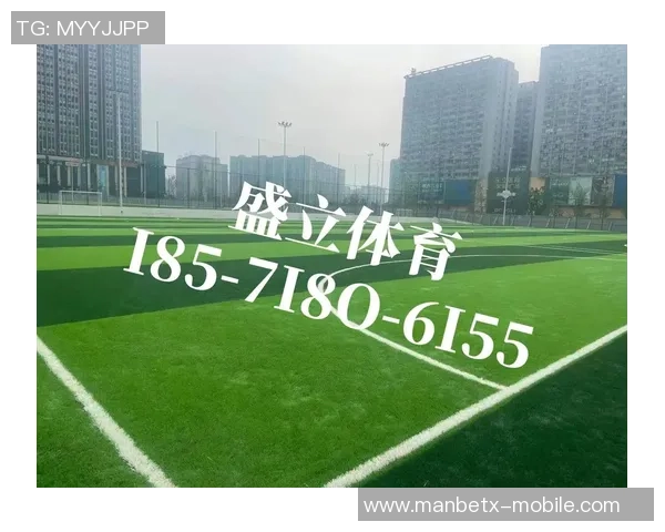 足球场人工草皮价格分析及影响因素探讨与市场趋势展望