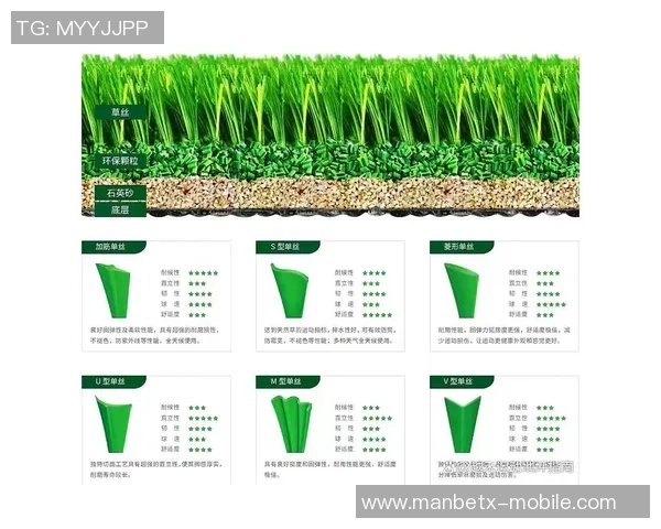 足球场草坪的种类与选择对比赛质量的影响分析